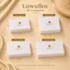 luwubox-size-comparison